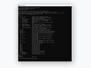 Window with command line tool for starting simulations